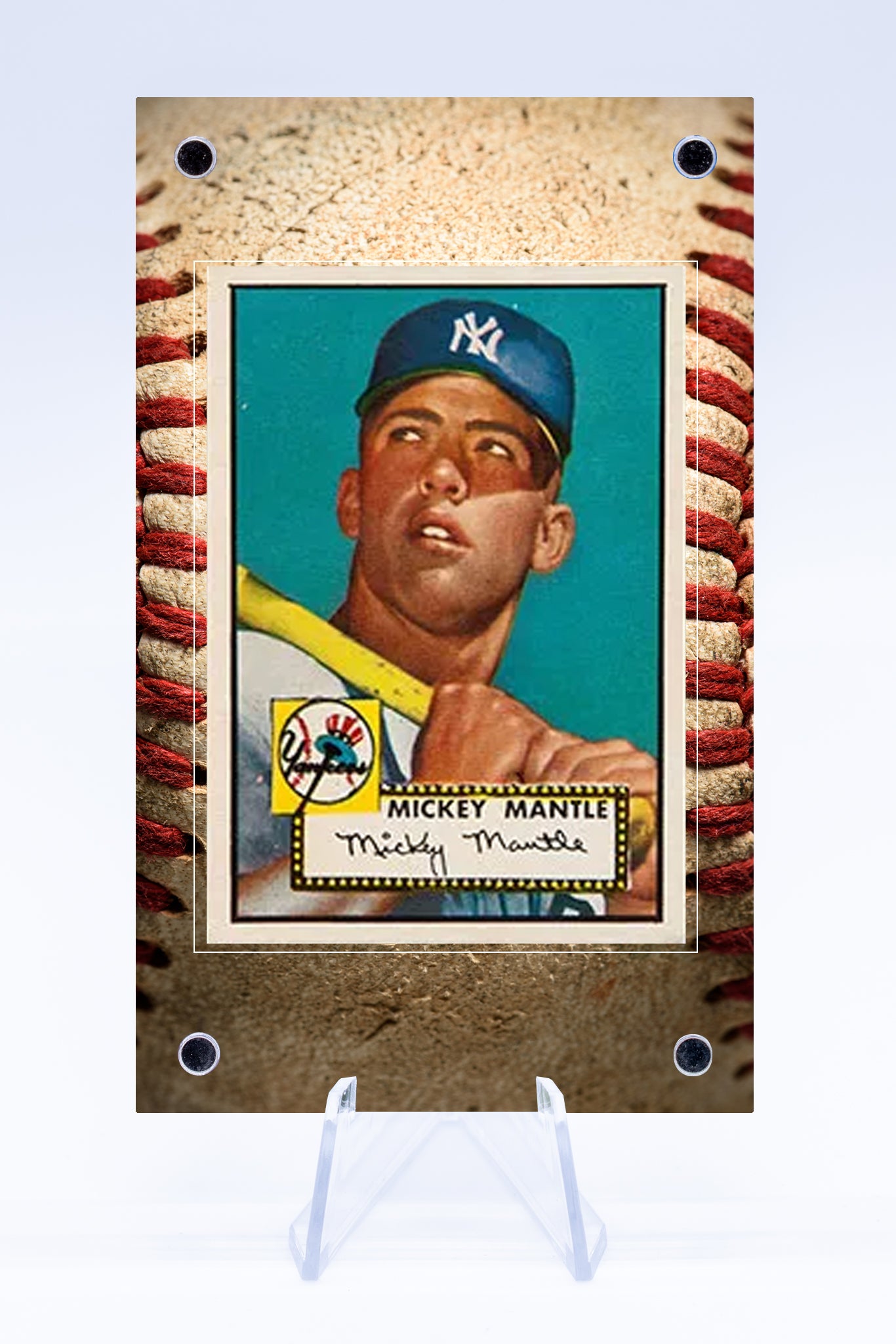 Baseball Case 2 | Sports | Art Guard (Ungraded)