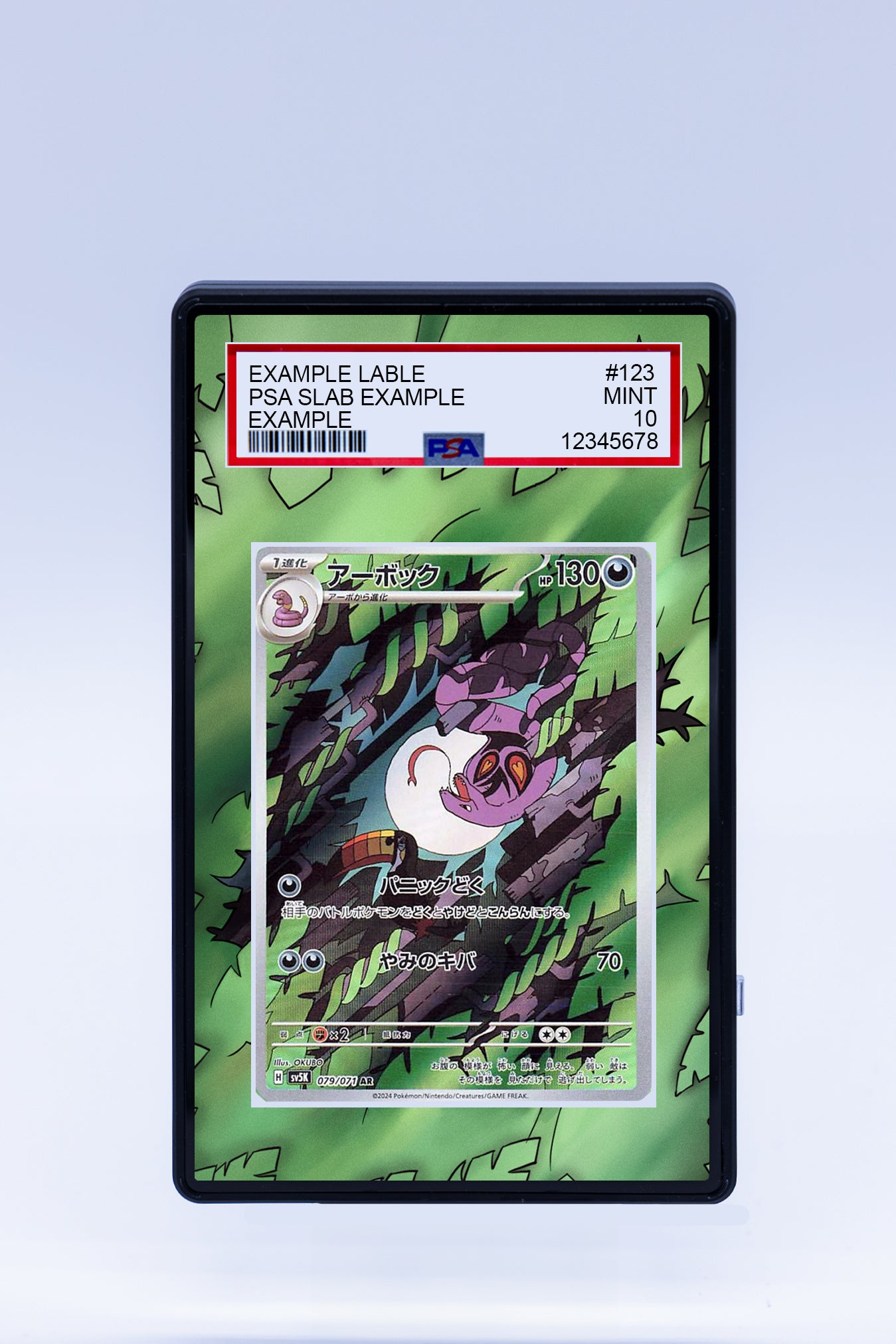 Arbok 176 162 (Graded) Case