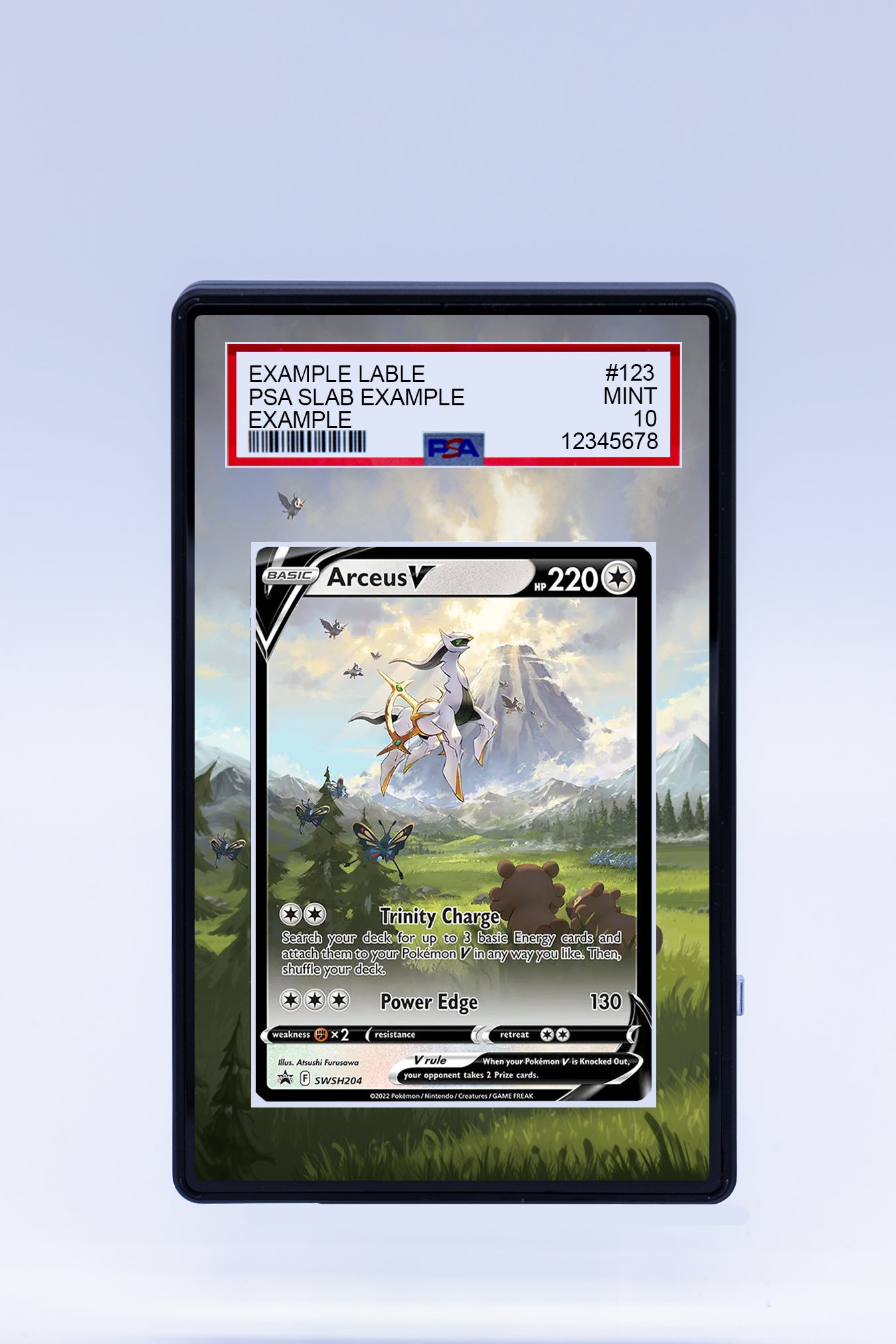 Arceus V SWSH204 Promo (Graded) Case