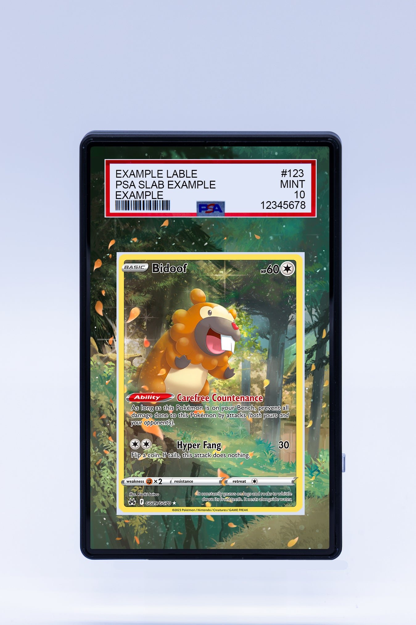 Bidoof GG29 GG70 (Graded) Case