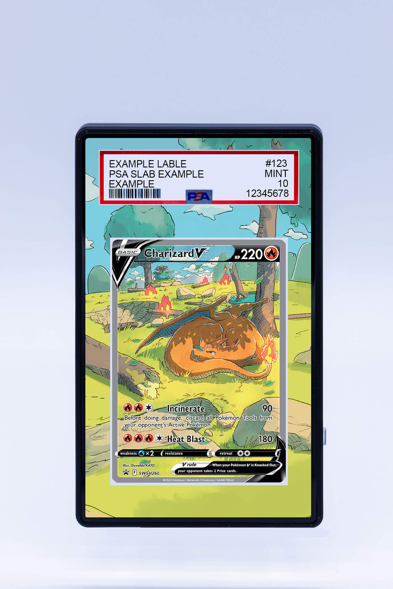 Charizard V SWSH260 UPC Promo (Graded) Case