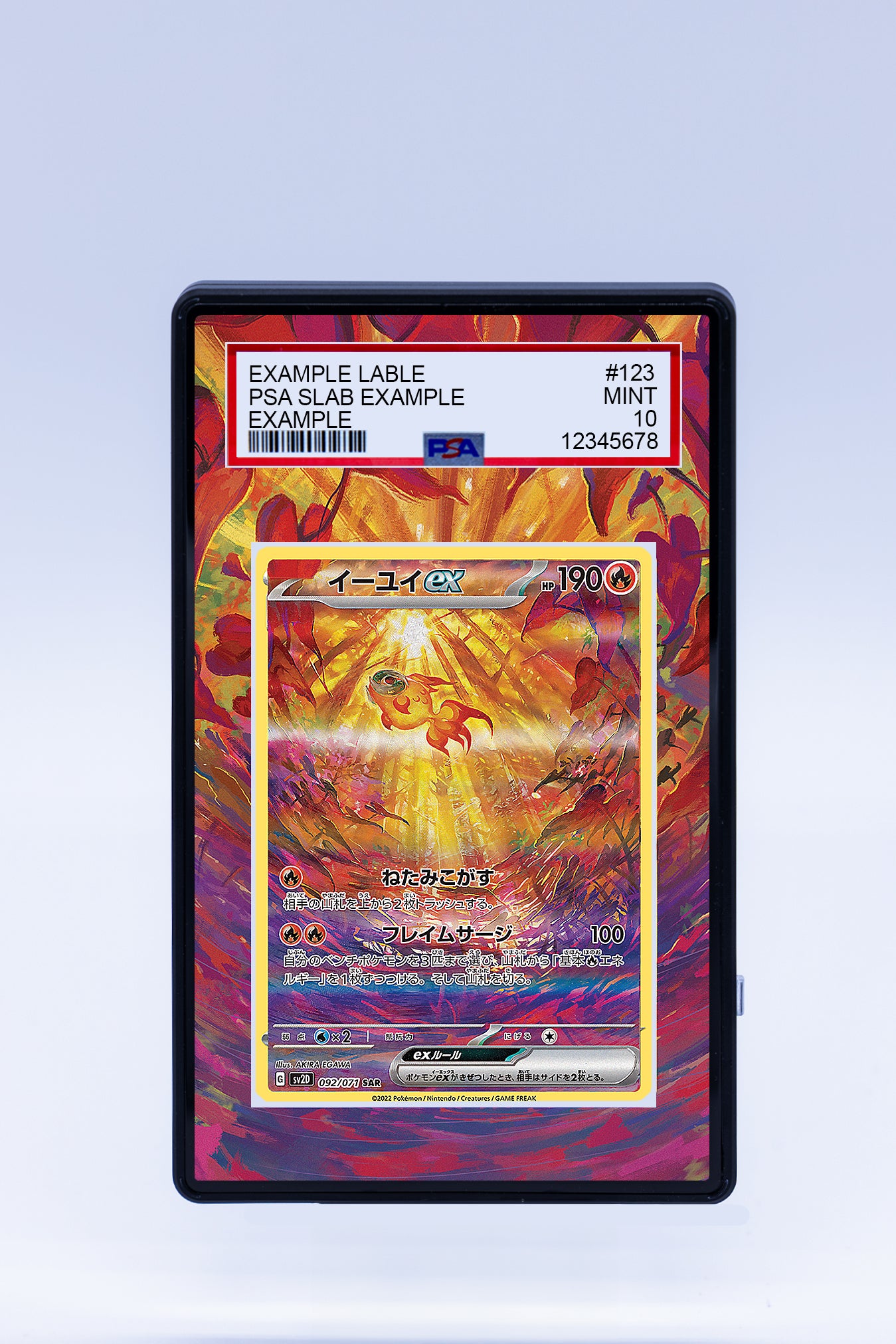 Chi-Yu EX 260 193 (Graded) Case