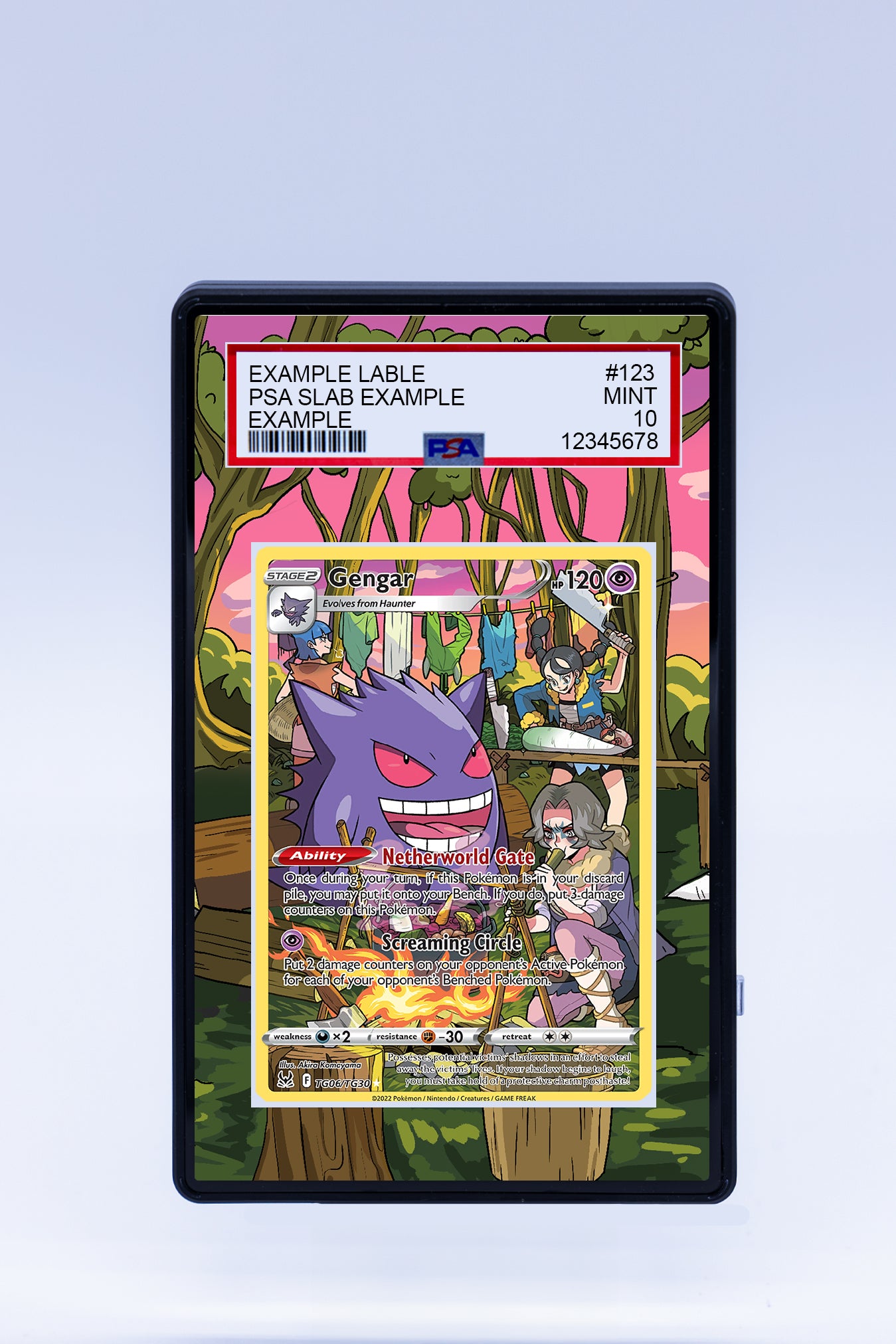 Gengar TG06 TG30 (Graded) Case