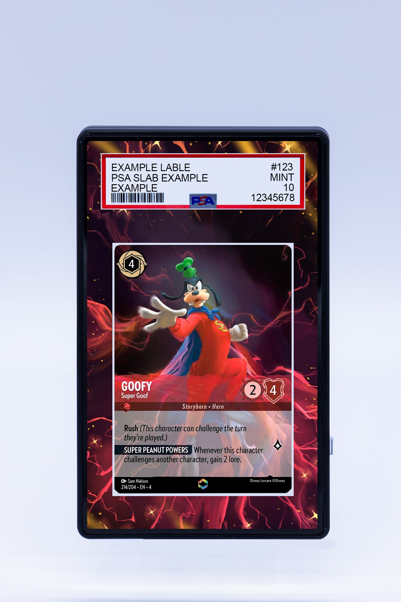 Goofy 214 204 (Graded) Case