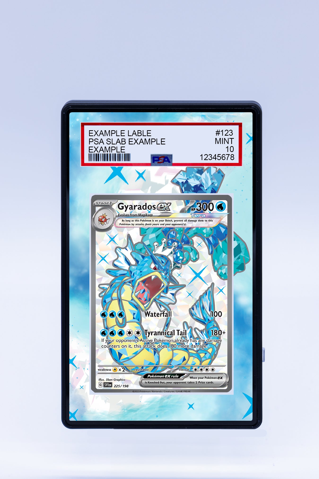 Gyarados EX 225 198 (Graded) Case