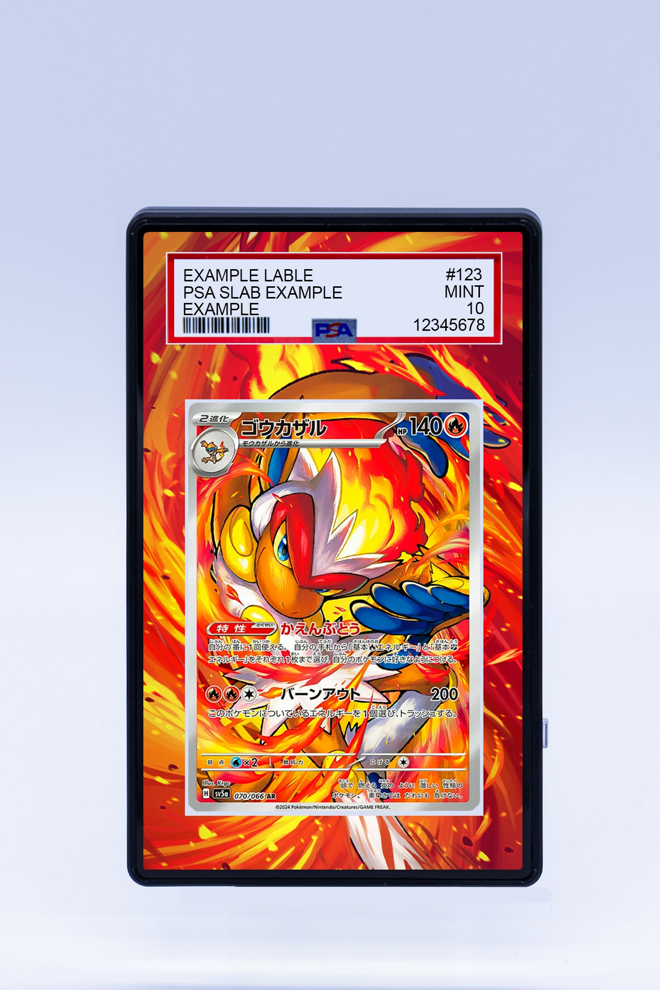 Infernape 173 167 (Graded) Case