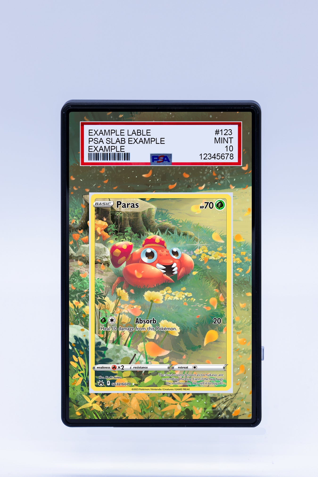 Paras GG32 GG70 (Graded) Case