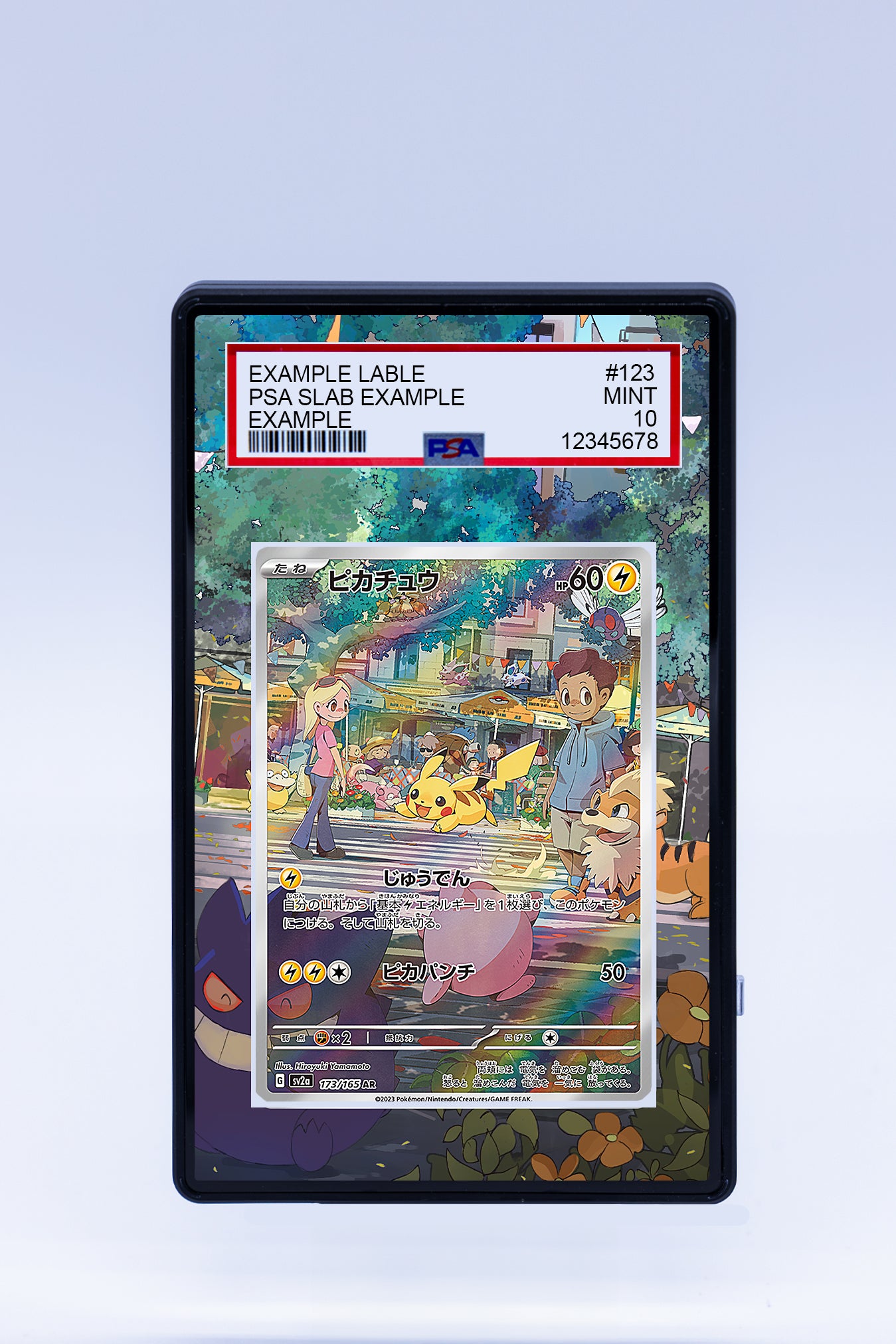 Pikachu 173 165 Case (Graded)