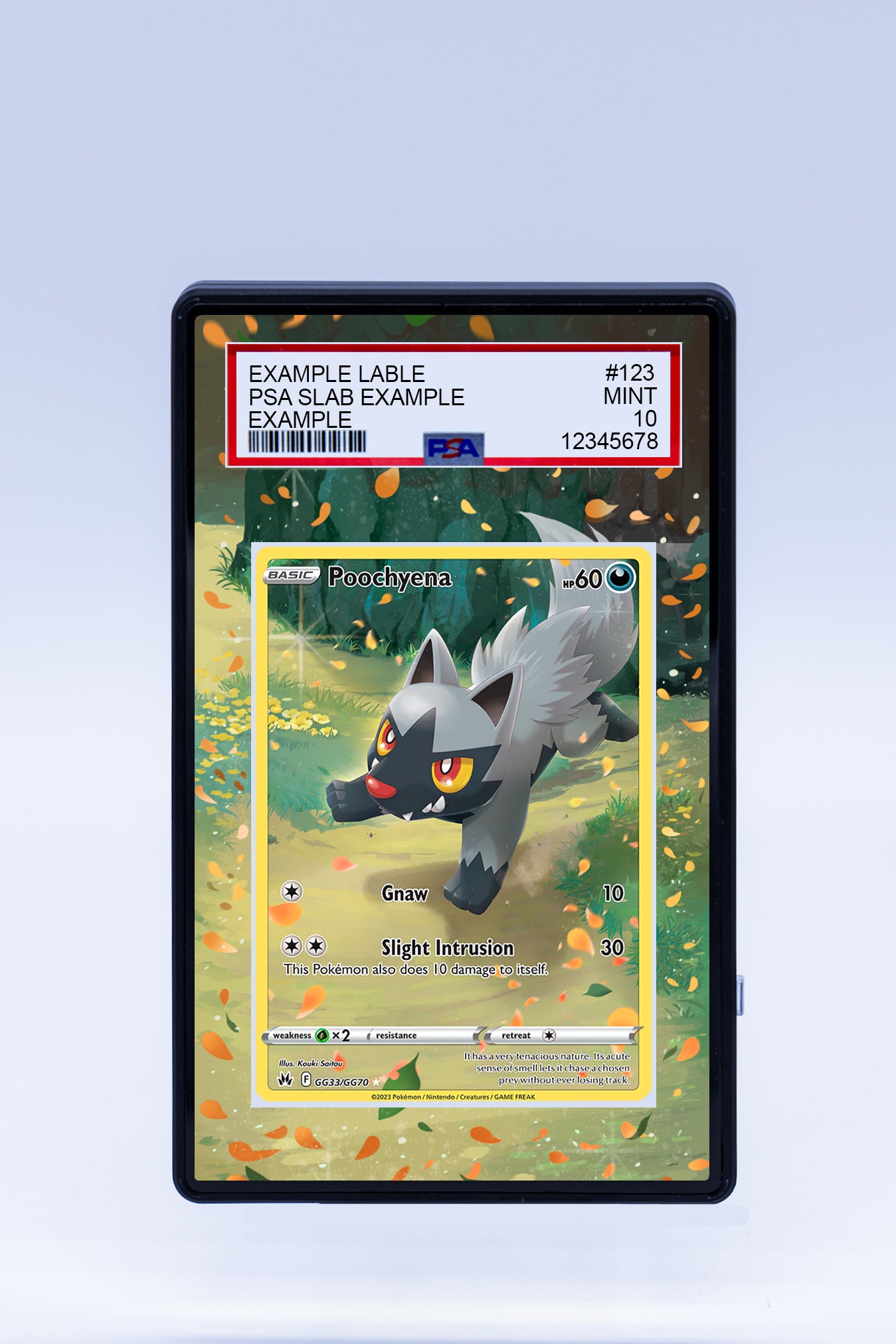 Poochyena GG33 GG70 (Graded) Case