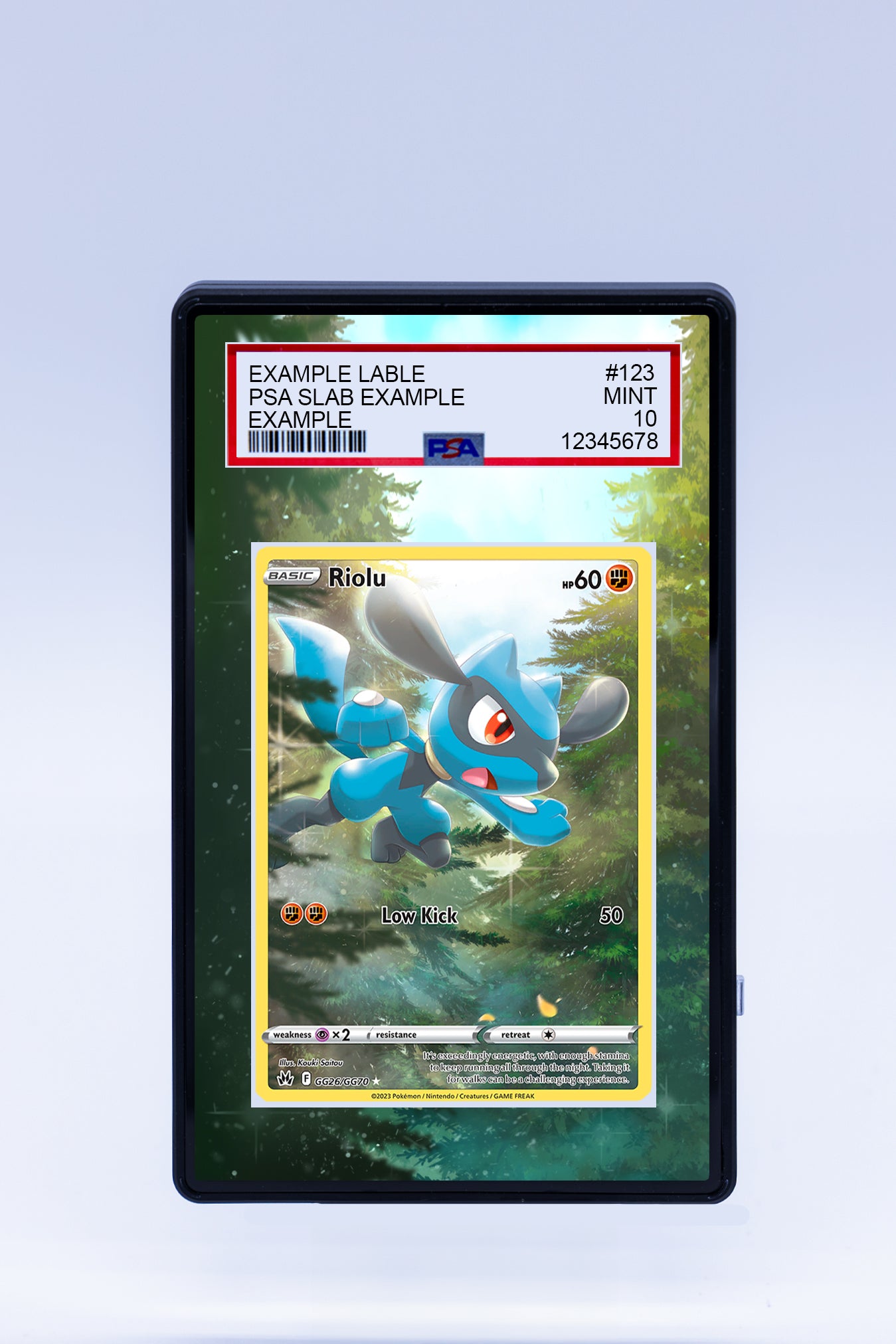 Riolu GG25 GG70 (Graded) Case