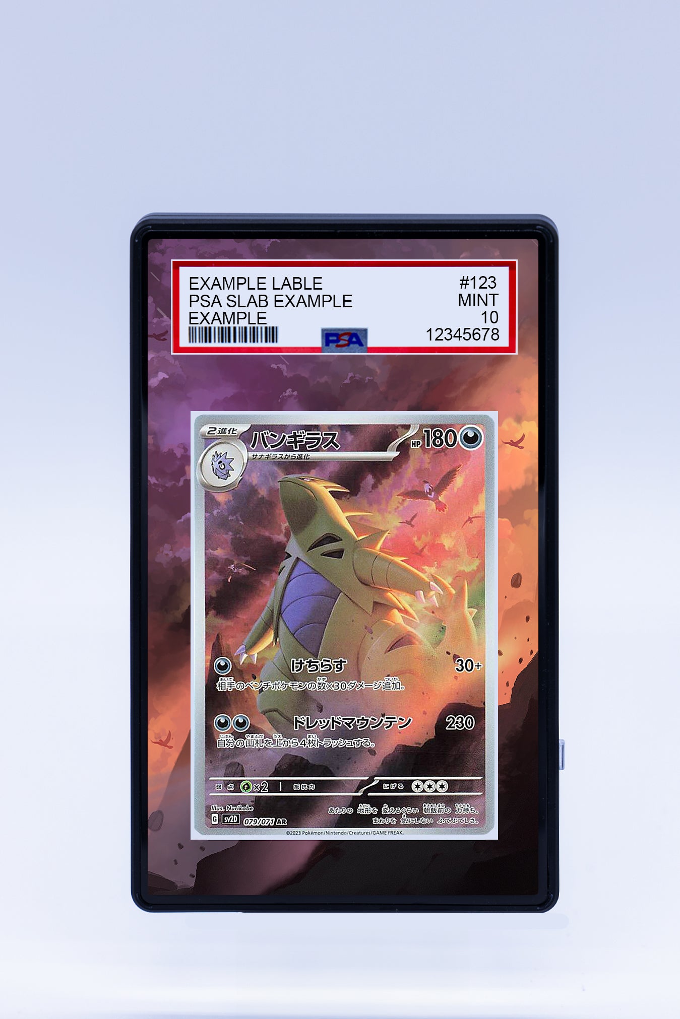 Tyranitar 222 193 (Graded) Case