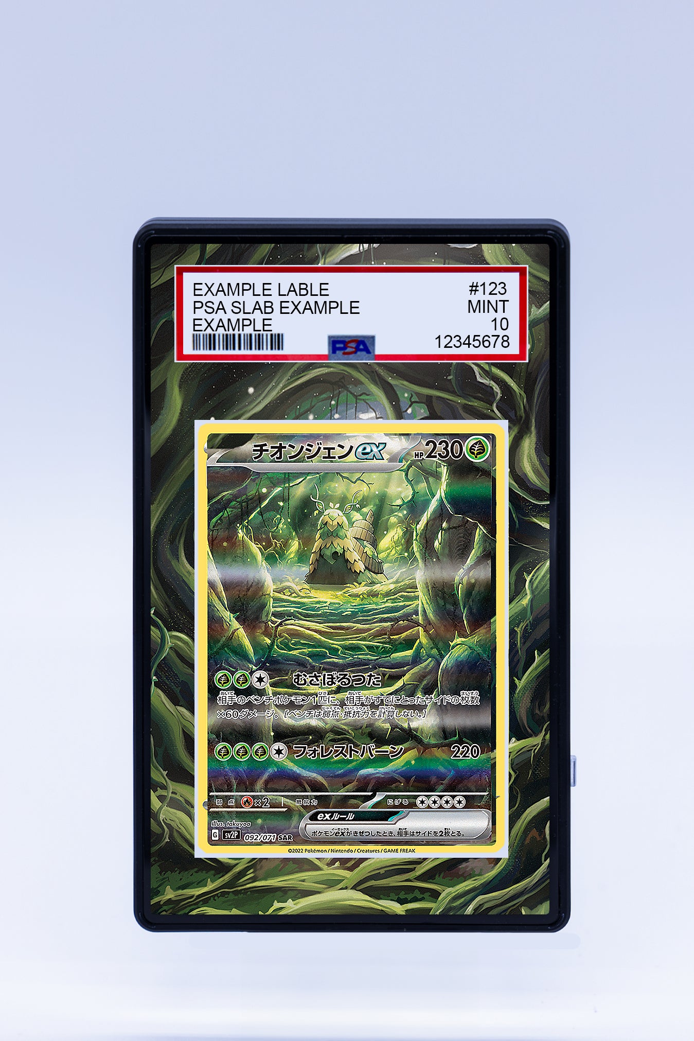 Wo-Chein EX 257 193 (Graded) Case