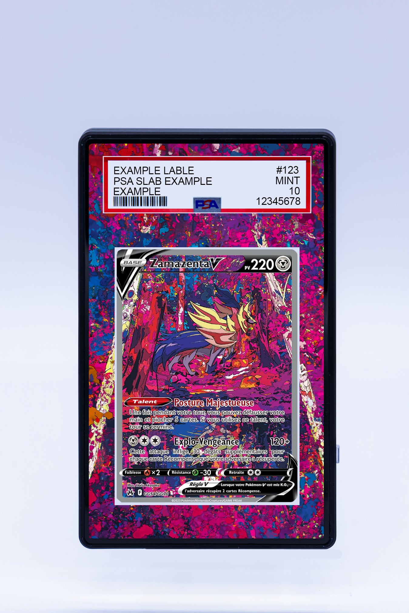 Zamazenta V GG54 GG70 (Graded) Case