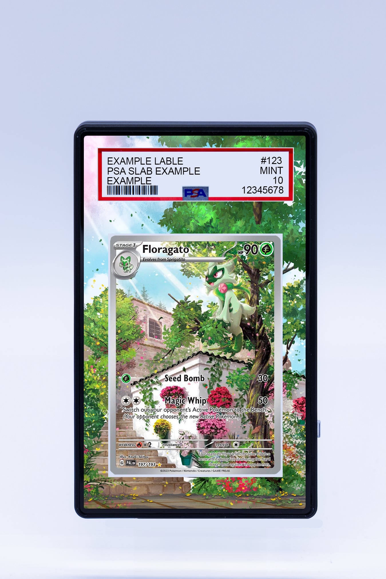 Floragato 197 193 (Graded) Case