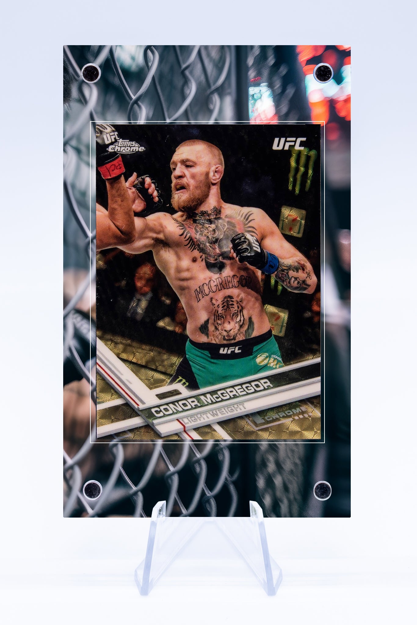 UFC Card Case 1 | Sports | Art Guard (Ungraded)